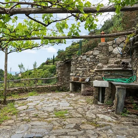 Smith * Vernazza